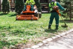 Démontage d'arbres complexes, quelles solutions pour votre sécurité