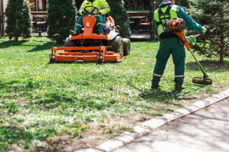 Démontage d'arbres complexes, quelles solutions pour votre sécurité