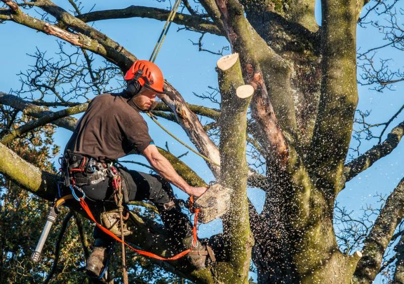 Signalisation de chantier et p&eacute;rim&egrave;tre de s&eacute;curit&eacute;, notre m&eacute;thode pour un &eacute;lagage sans risque &agrave; S&eacute;lestat