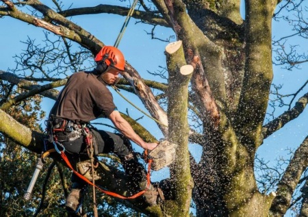 Signalisation de chantier et p&eacute;rim&egrave;tre de s&eacute;curit&eacute;, notre m&eacute;thode pour un &eacute;lagage sans risque &agrave; S&eacute;lestat
