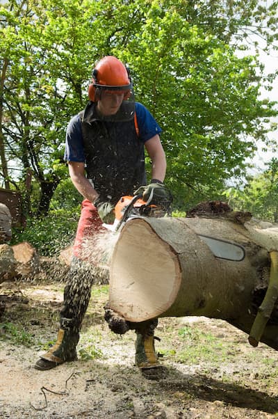 young-male-tree-surgeon-using-chainsaw-on-tree-tru-2025-04-03-02-12-58-utc.jpg