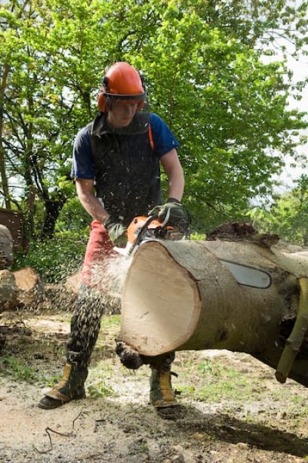 young-male-tree-surgeon-using-chainsaw-on-tree-tru-2025-04-03-02-12-58-utc.jpg